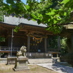 鎌倉長谷歴史ツアー